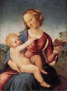 RAFFAELLO Sanzio, Colonna Madonna